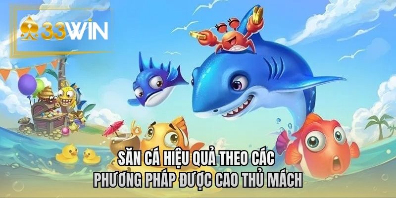 Săn cá hiệu quả theo các phương pháp được cao thủ mách